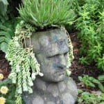 StoneFace