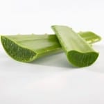 Aloe Vera and Constipation: Keep it Running Smoothly with Aloe Laxative.