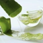 Aloe as a Sore Throat Remedy