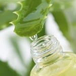Spa Day! Make Your Own Aloe Vera Oil for Hair!