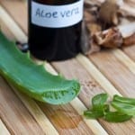 Aloe Vera Oil? That Exists?